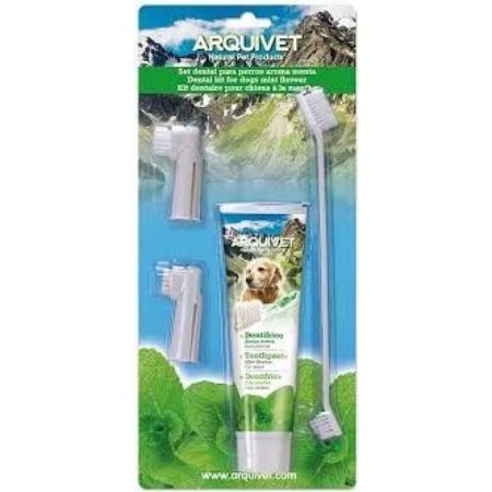 KIT CEPILLOS DIENTES ARQUIVET