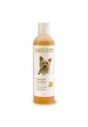 CHAMPU ARQUIVET YORKSHIRE 250ML.