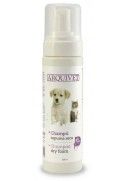 ESPUMA SECA ARQUIVET 200ML