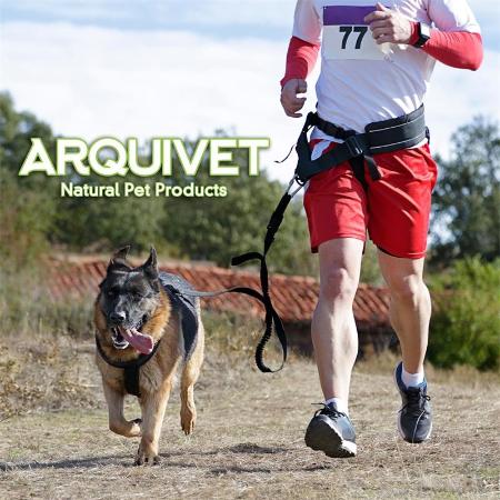 CANICROSS M ARQUIVET