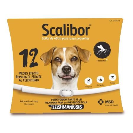 COLLAR SCALIBOR 48 CM