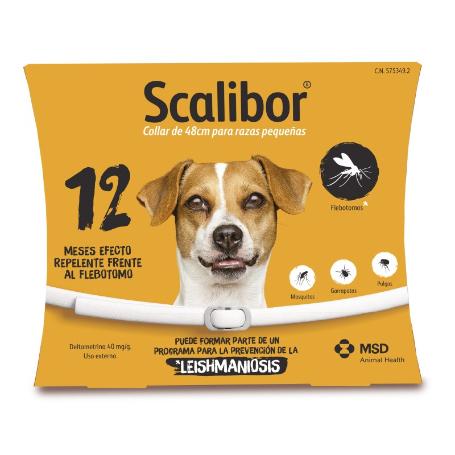 COLLAR SCALIBOR 48 CM