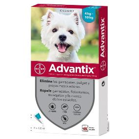 ADVANTIX 4 -10 KG UND