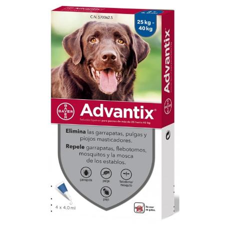 ADVANTIX + 25 KG UND