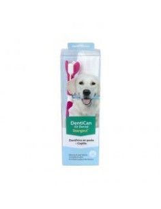 STANGEST DENTICAN KIT DENTAL