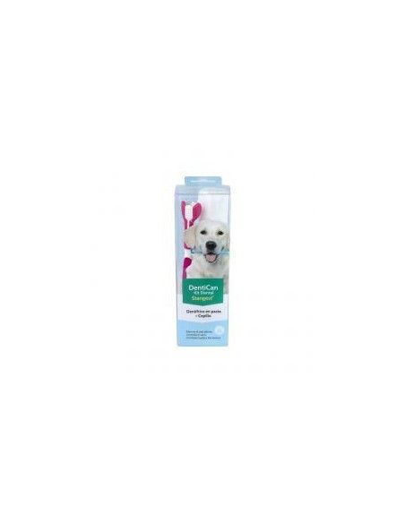 STANGEST DENTICAN KIT DENTAL