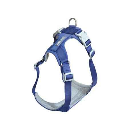 ARNES PERRO ROMA AZUL XS ARQUIVET