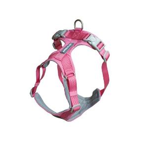 ARNES PERRO ROMA ROSA XS ARQUIVET