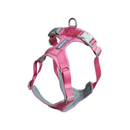 ARNES PERRO ROMA ROSA XS ARQUIVET