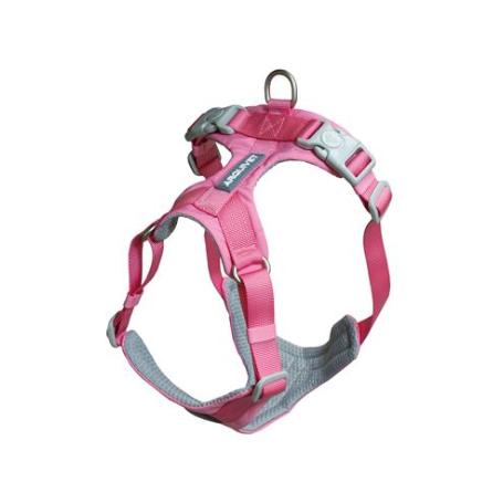 ARNES PERRO ROMA ROSA XS ARQUIVET