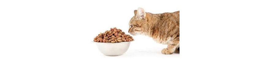 Pienso para Gatos