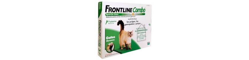 Antiparásitos gatos