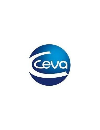 Ceva