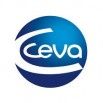 Ceva